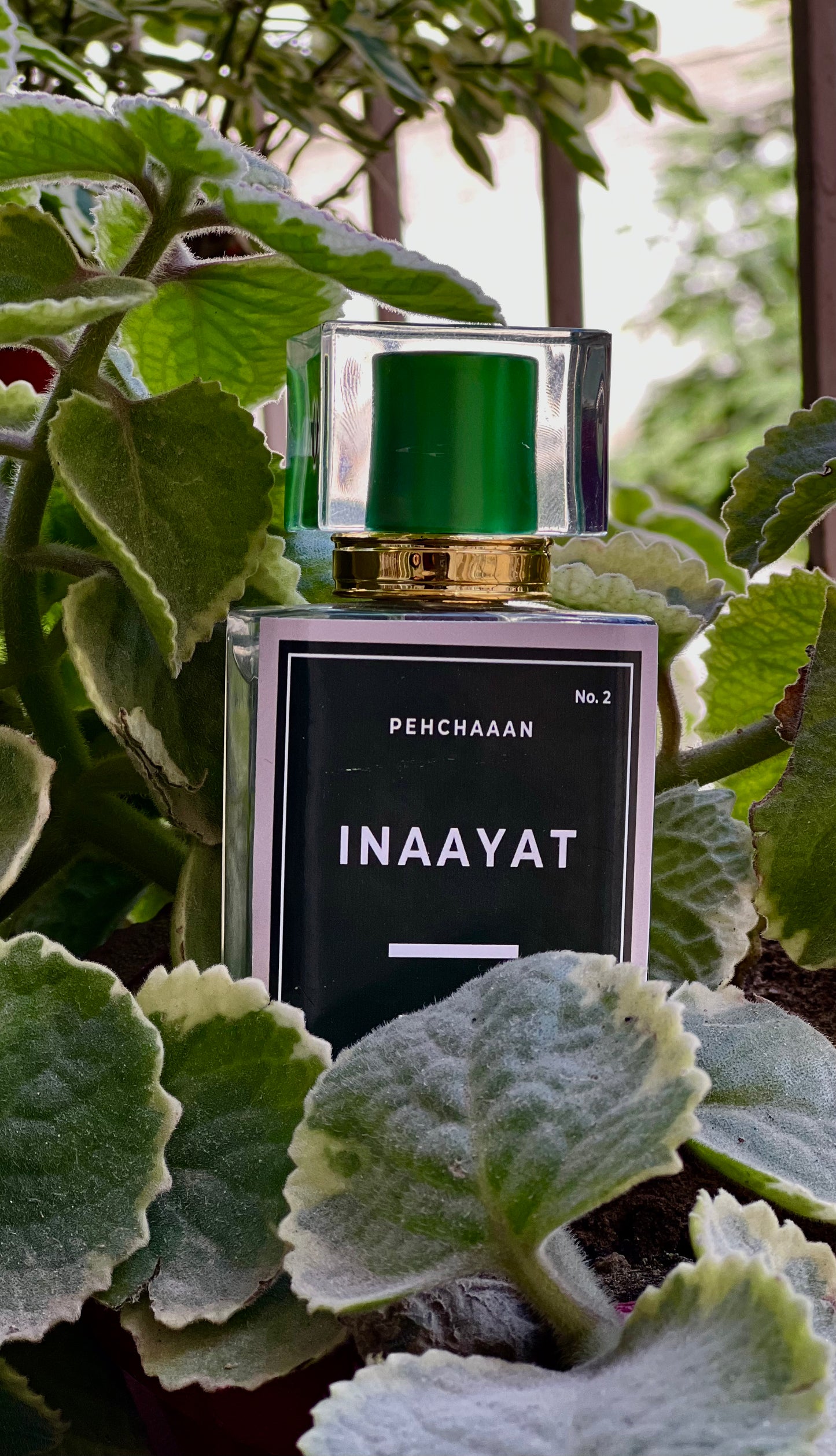 Inaayat by Pehchaaan | Smell Elegant, Stay Empowered - INSPIRED BY GUCCI FLORA