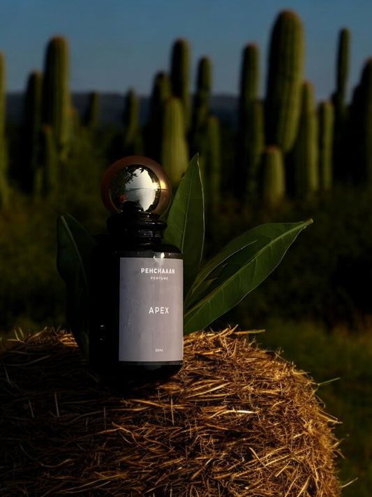 Apex | Smell confident all day, keeps you fresh and captivating for hours